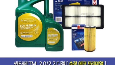 산타페TM 엔진오일 꿀팁🍯 : 싸게 득템한 후기!